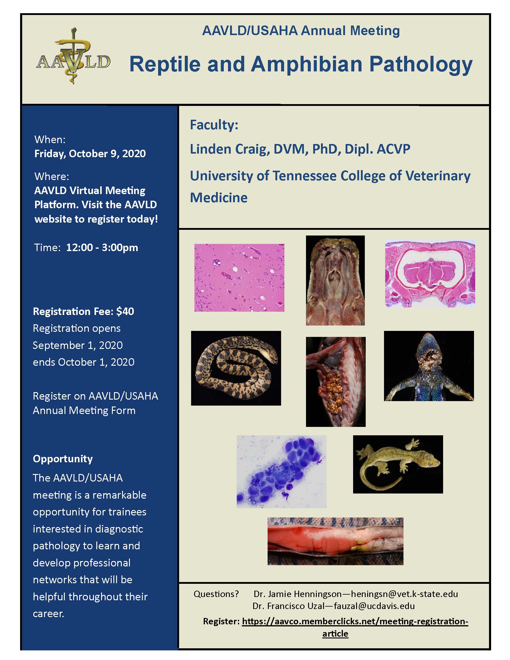 Reptile and Amphibian Pathology article